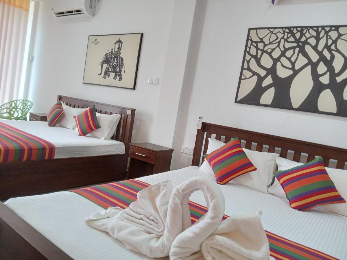 אודוואלאווה Elephant Park Family Bungalow מראה חיצוני תמונה