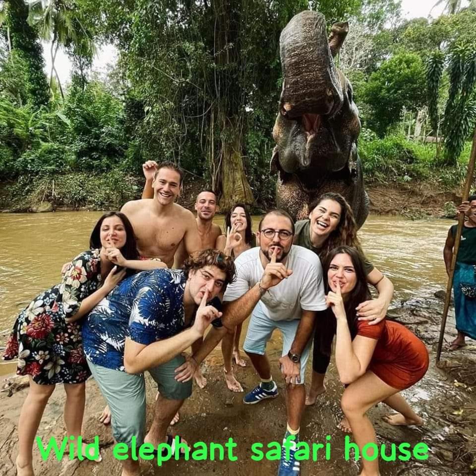 אודוואלאווה Elephant Park Family Bungalow מראה חיצוני תמונה